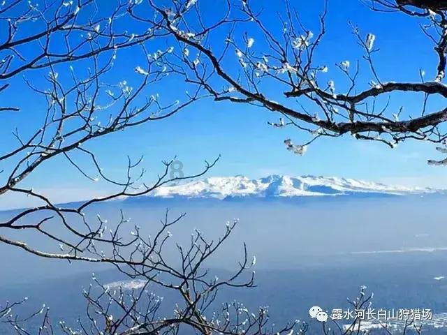 你是如何评价《新版红楼梦》的？